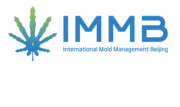 IMMB Mold Solutions