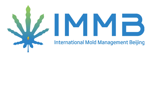 IMMB Mold Solutions