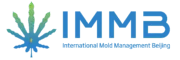 IMMB Mold Solutions